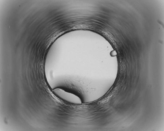 X0000095901041200802081135