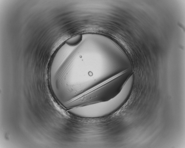 X0000095901042200802081135