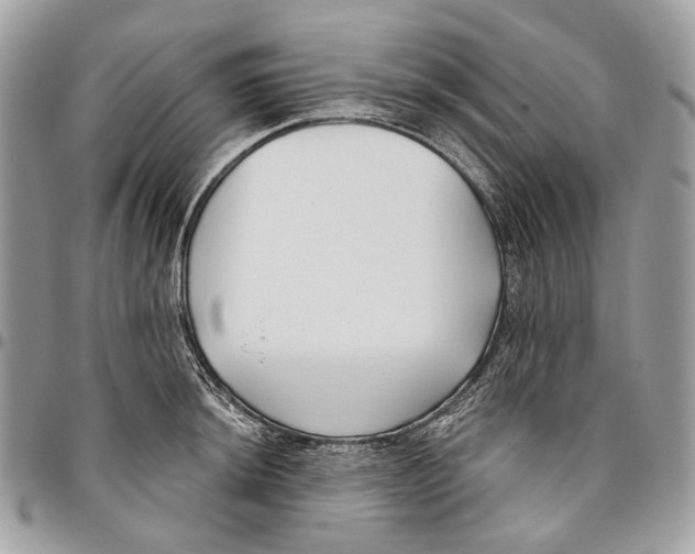 X0000095901044200802081136