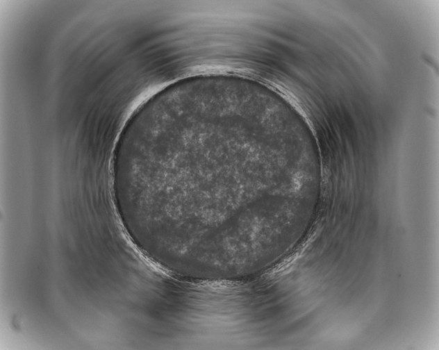 X0000095901045200802081136