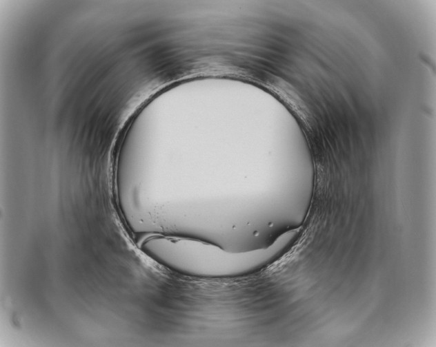 X0000095901046200802081136