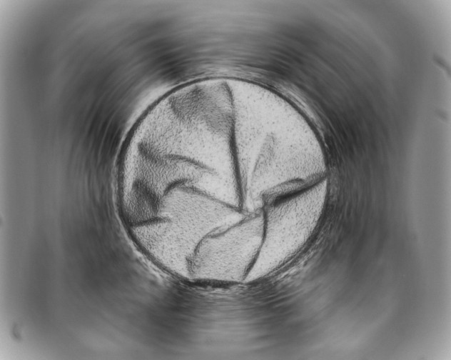 X0000095901048200802081136