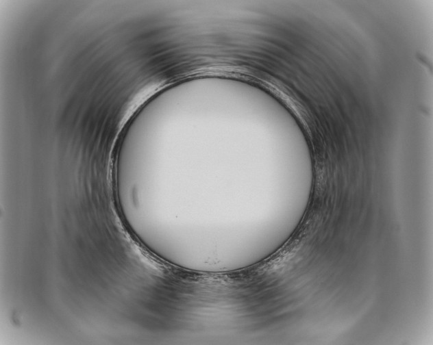 X0000095901050200802081136