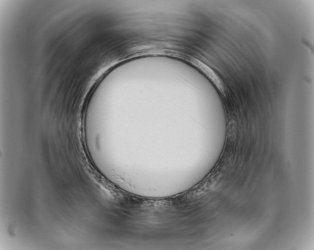 X0000095901051200802081136