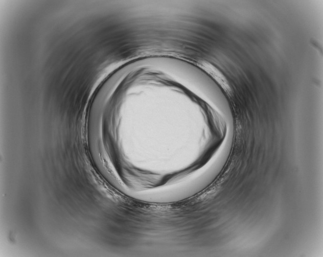 X0000095901052200802081136