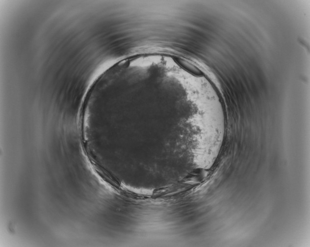 X0000095901053200802081136