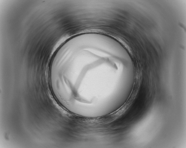 X0000095901054200802081136