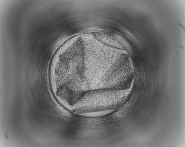 X0000095901055200802081136