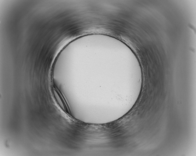 X0000095901056200802081136