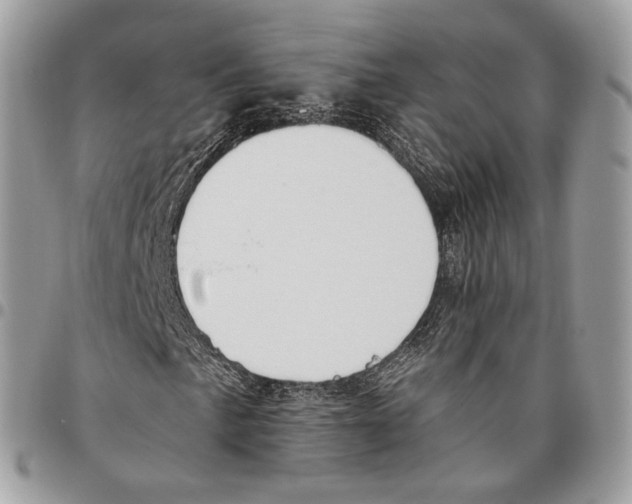 X0000095901057200802081135