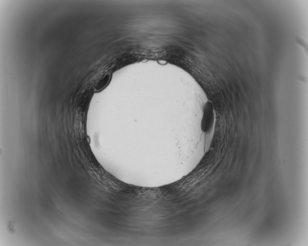 X0000095901058200802081135