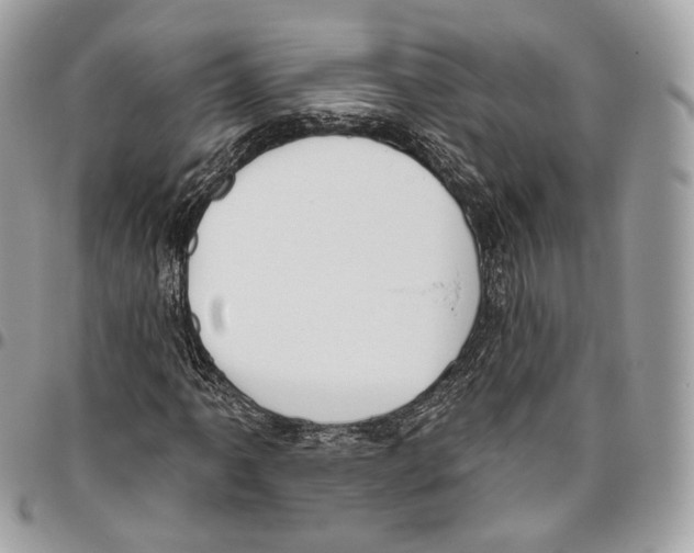 X0000095901061200802081135