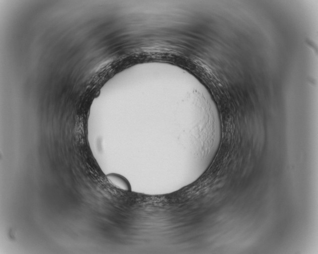 X0000095901062200802081135