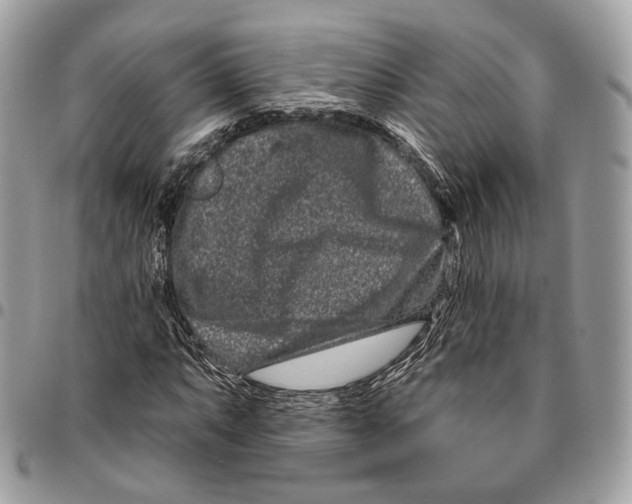 X0000095901063200802081135