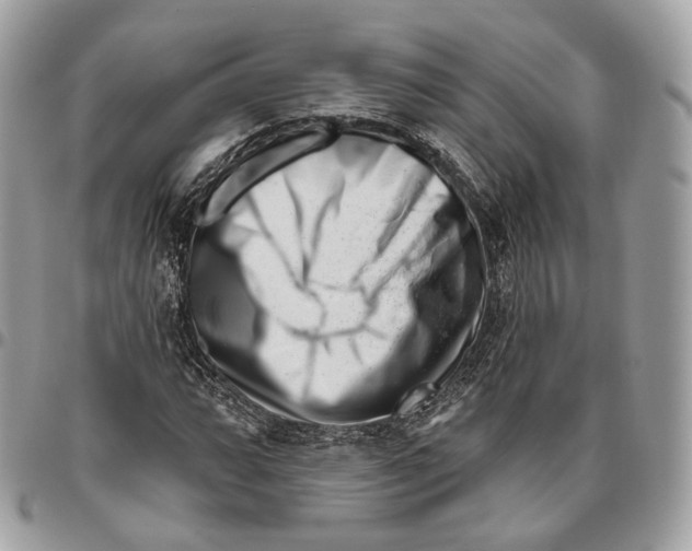 X0000095901064200802081135