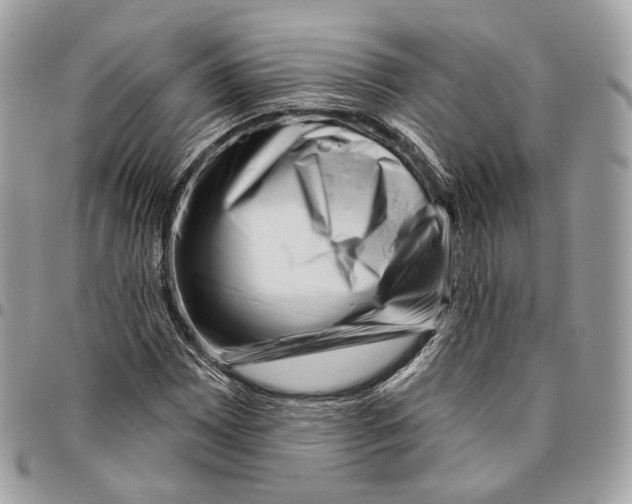 X0000095901065200802081135