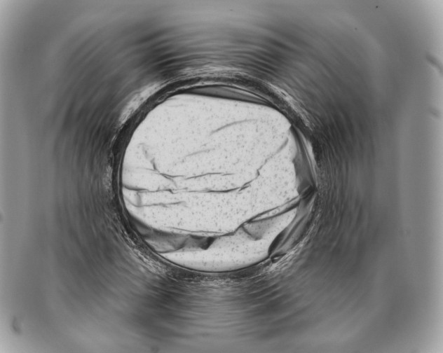 X0000095901066200802081135