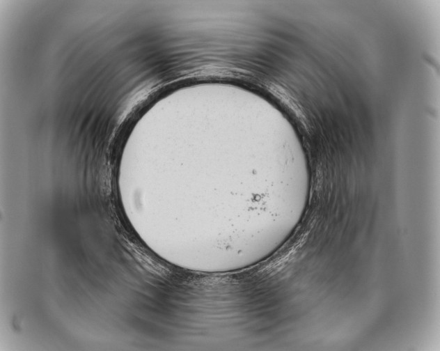 X0000095901067200802081135