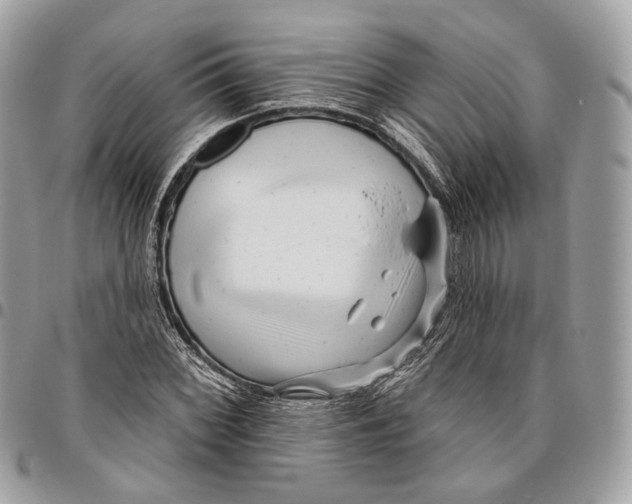 X0000095901068200802081135