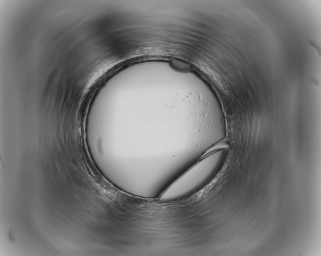 X0000095901070200802081135