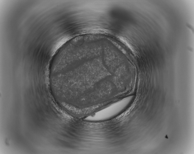 X0000095901071200802081135