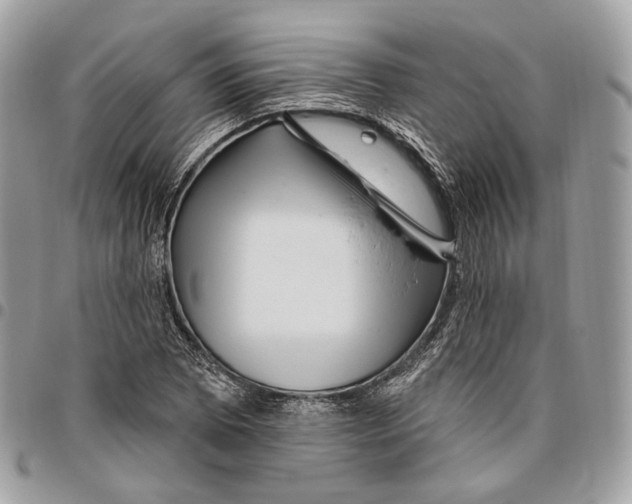 X0000095901073200802081135