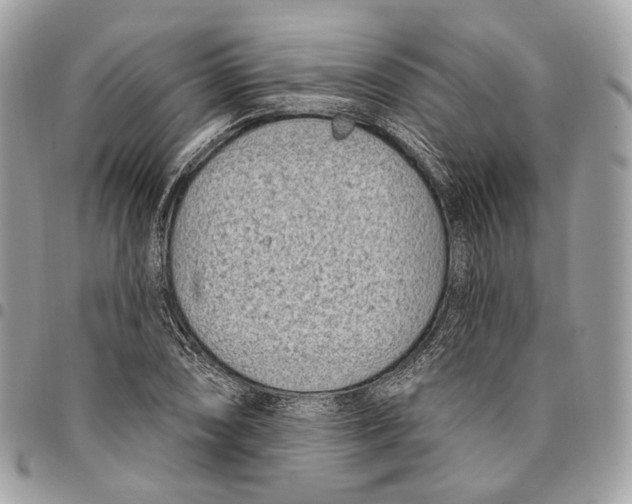 X0000095901074200802081135