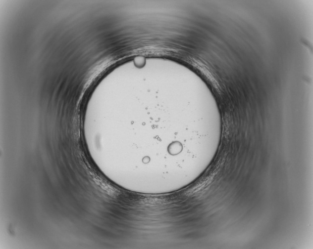 X0000095901075200802081135