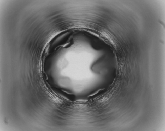 X0000095901076200802081135