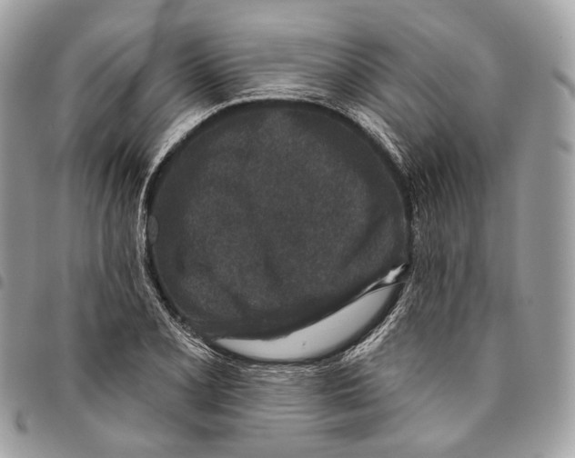 X0000095901077200802081135