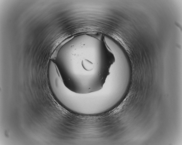 X0000095901081200802081135