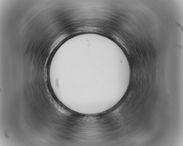 X0000095901082200802081135