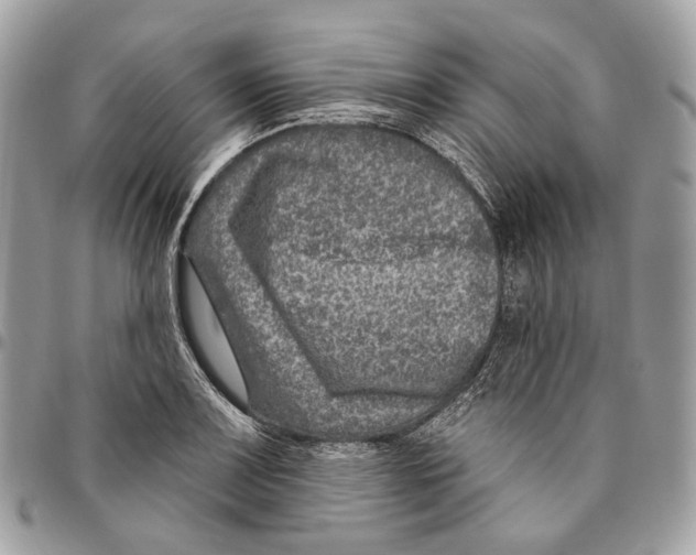 X0000095901083200802081135