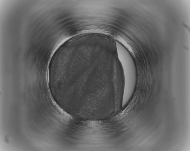 X0000095901084200802081134