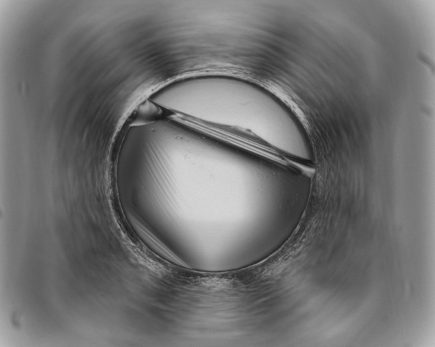 X0000095901085200802081134