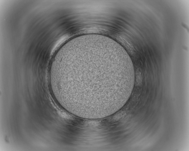 X0000095901086200802081134