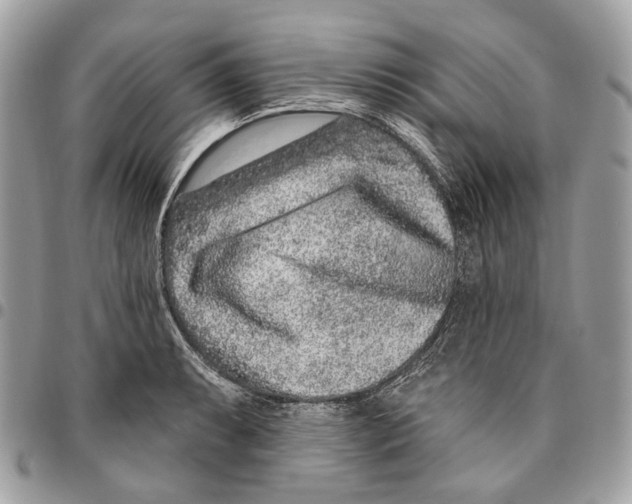 X0000095901087200802081134