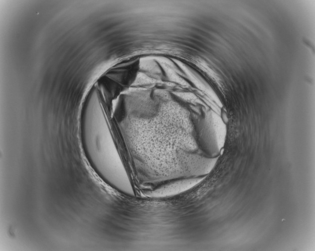 X0000095901088200802081134