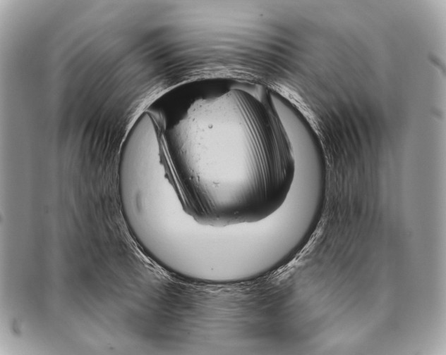 X0000095901089200802081134