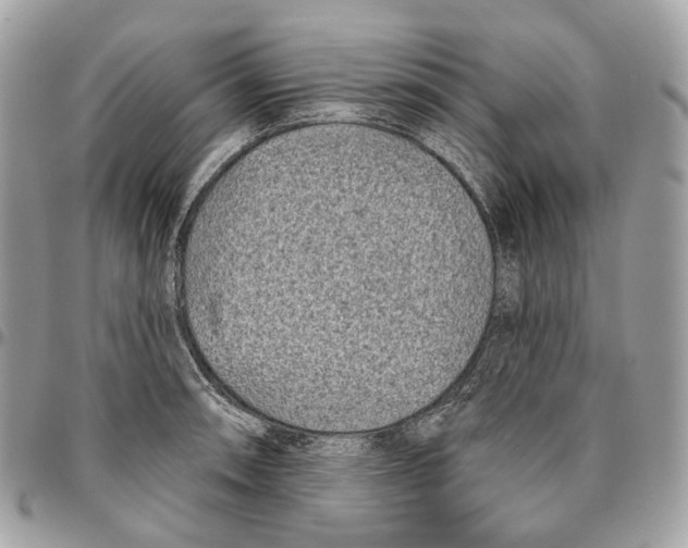 X0000095901090200802081134