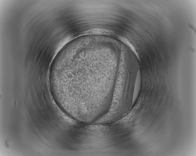 X0000095901091200802081134