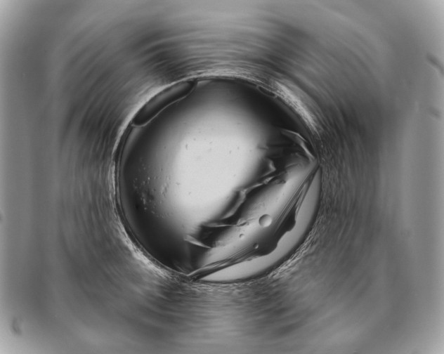 X0000095901092200802081134