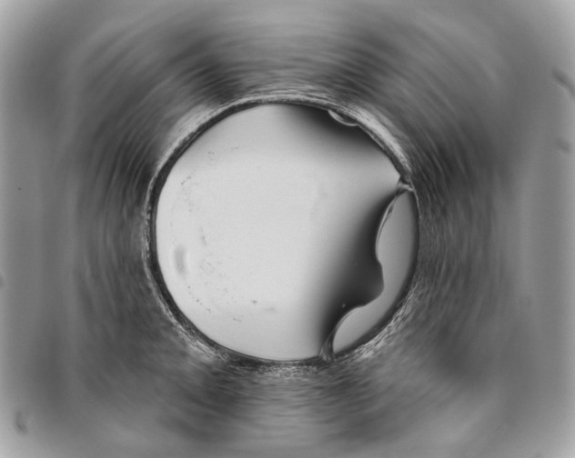 X0000095901093200802081134