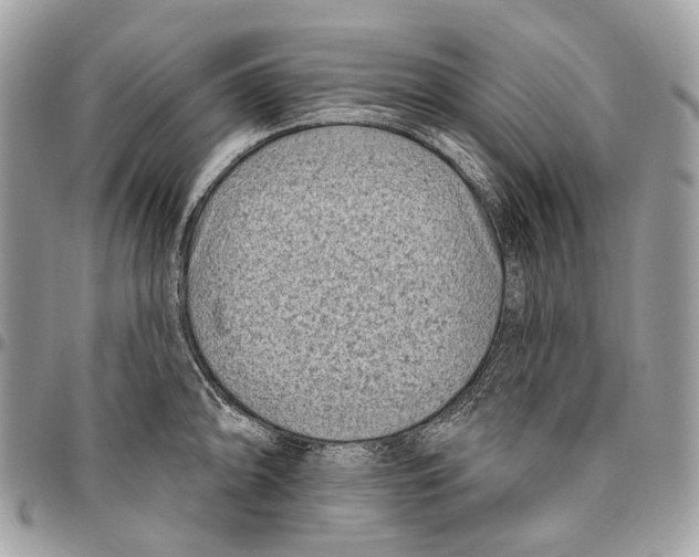 X0000095901094200802081134