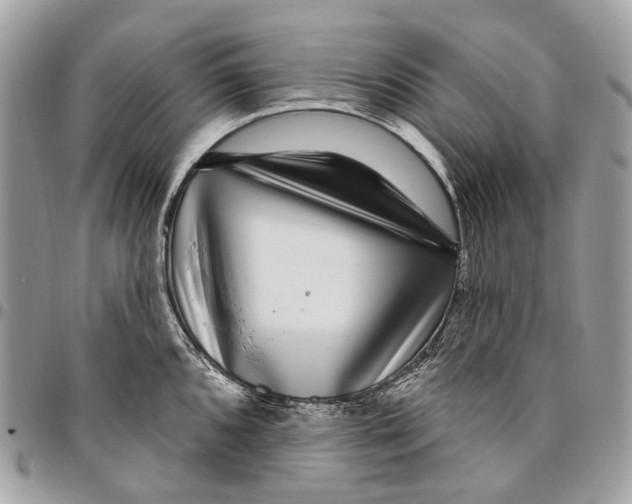 X0000095901096200802081134