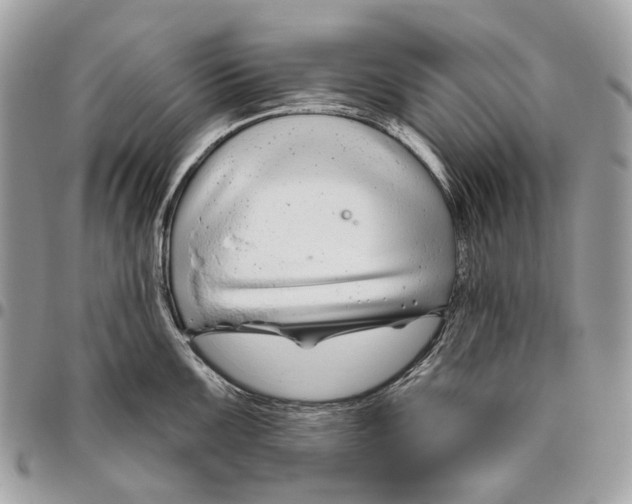 X0000095901099200802081134