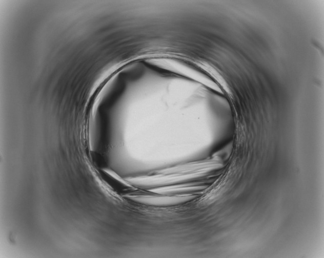 X0000095901101200802081134