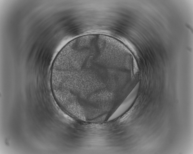 X0000095901102200802081134