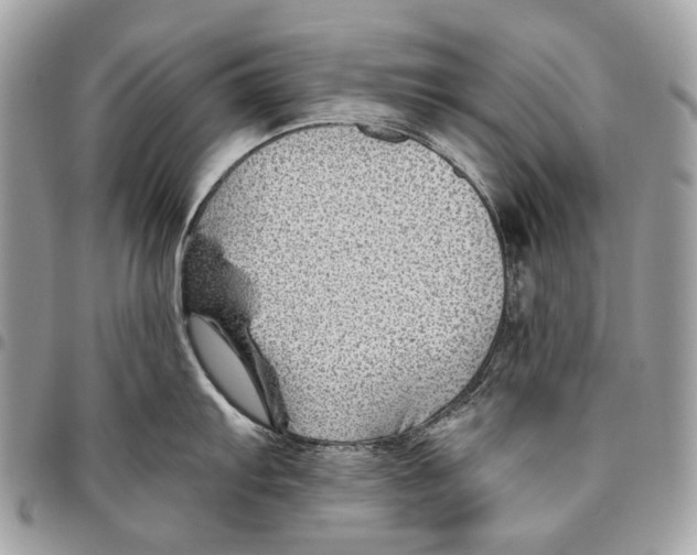 X0000095901103200802081134