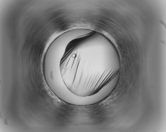 X0000095901104200802081134